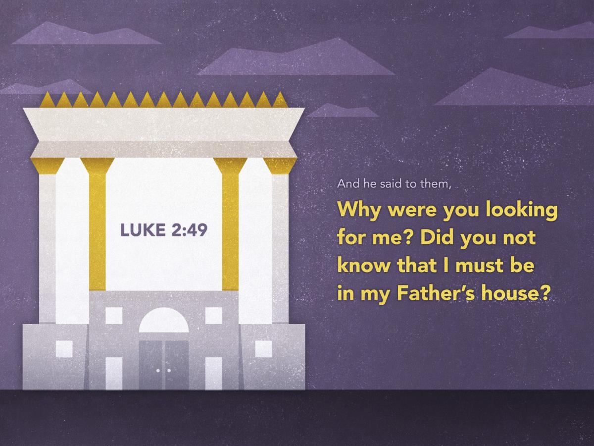 Luke 249 [fullscreen].jpg